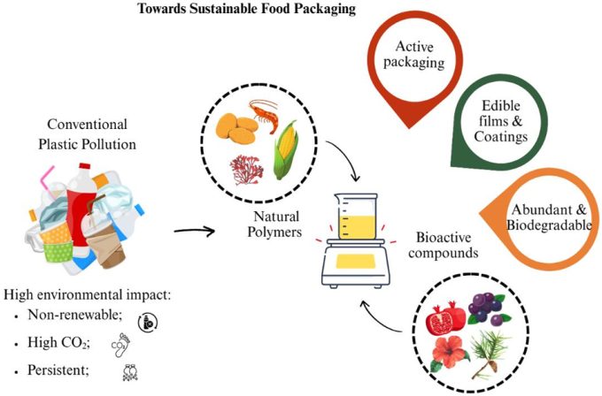 Estudio científico sobre los envases biodegradables