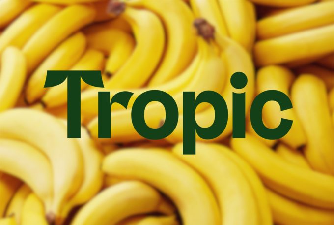 Edición genética de la banana por Tropic