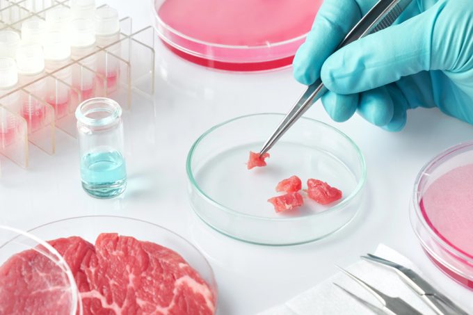 Carne cultivada, retos para la producción industrial