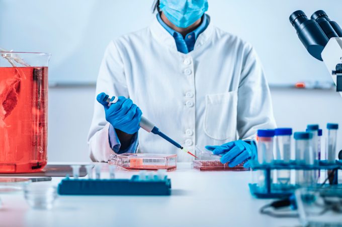 Investigación sobre la carne de cultivo