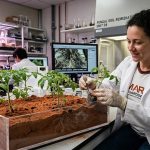 Cultivar alimentos en suelo marciano
