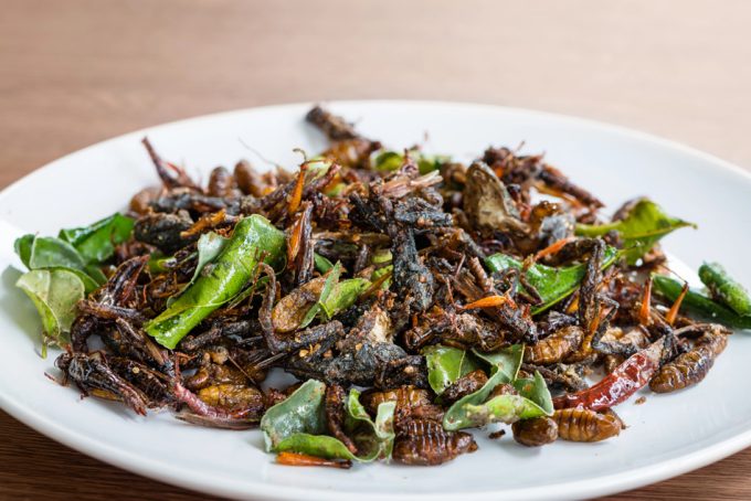 Alimentos elaborados con insectos no convencen
