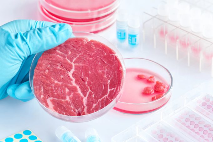 Acelerar la aprobación de nuevos alimentos en la UE