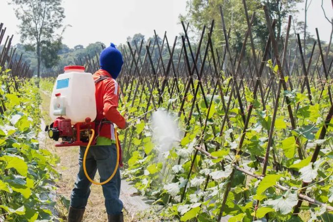 Pesticidas prohibidos en la UE
