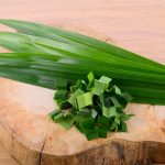 Nuevos ingredientes, el pandan