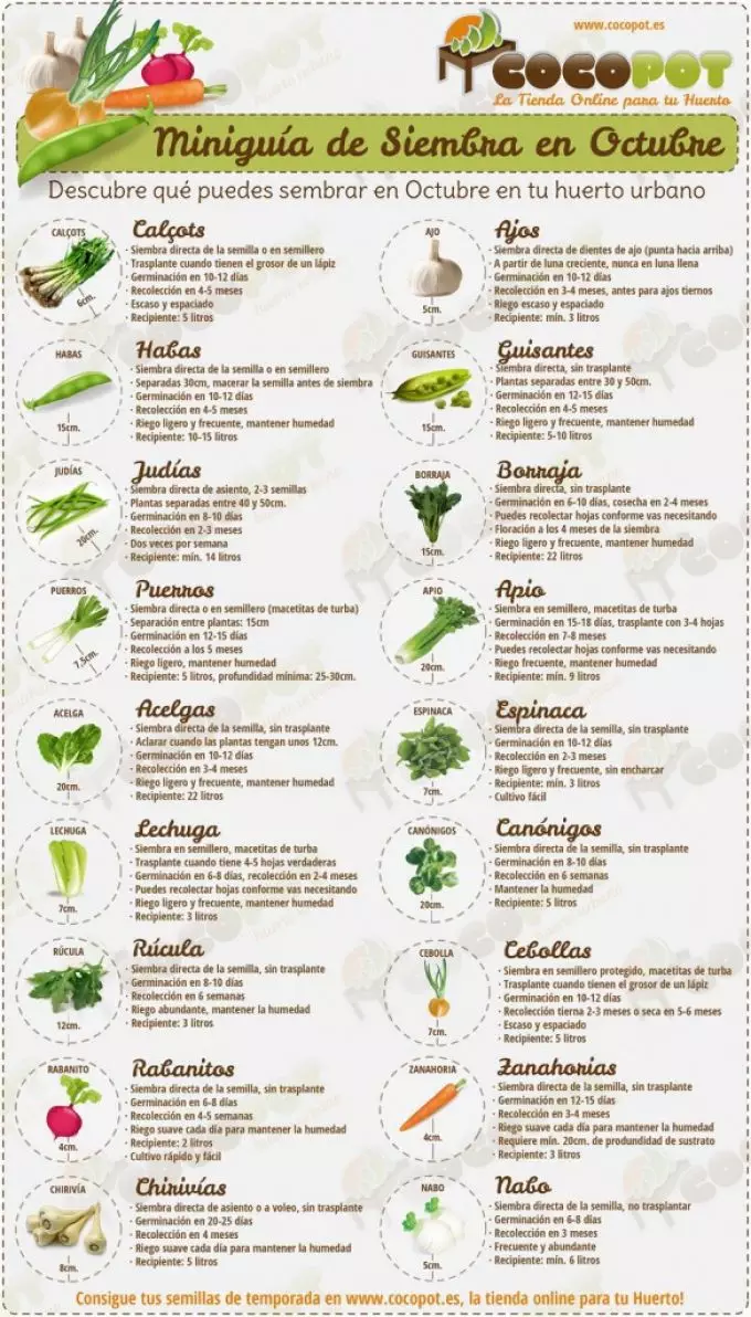 tabla de alimentos para cultivar