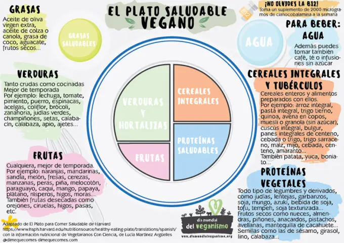 El Plato Saludable Vegano, adaptado de El Plato para Comer Saludable de  Harvard