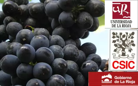 instituto_vino_rioja.jpg