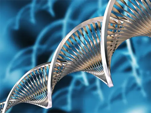 alimentos biotecnológicos