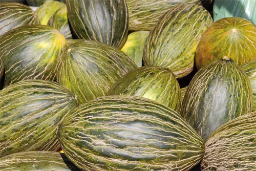 Melones
