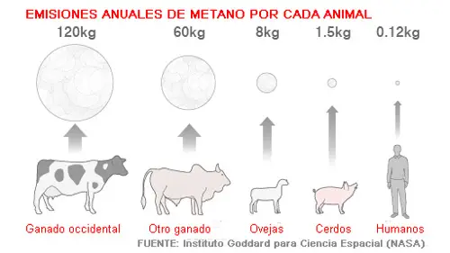 Emisiones contaminantes en animales