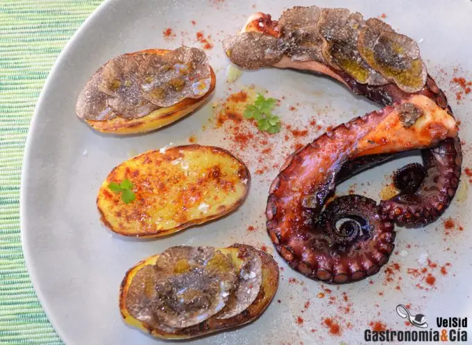 Recetas de verano con trufa negra