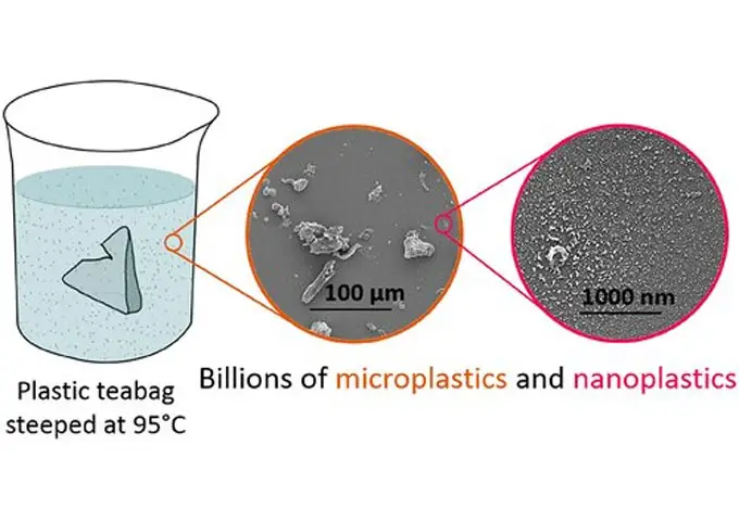 Las bolsas de té hechas de plástico pueden liberar miles de millones de  microplásticos en nuestros cuerpos