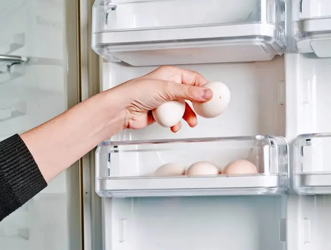 Huevera para frigorífico, para una docena de huevos instalados en